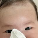 베일리 아기 네일트리머 내돈내산 후기