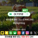 그린벨리 포천 이미지