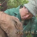 도토 이미지