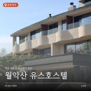 속초비치호스텔 | 제천 월악산 유스호스텔 | 6개월, 32개월 아기랑 감성 숙소 추천, 힐링 스테이 후기