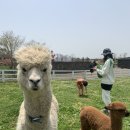 새별목장 네이버블로그