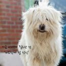 미소 이미지