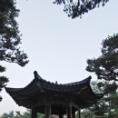 매여울생태공원 네이버블로그