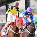 천년목장 이미지