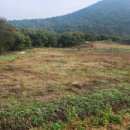 화성면사무소 이미지