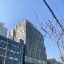 린여성병원 | [산부인과] 린여성병원 초진 후기 자궁근종 수술 문의