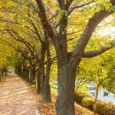 목동동로6길 이미지