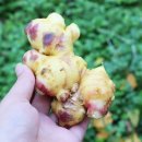 팔도농장 이미지