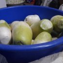 동부참기름 이미지