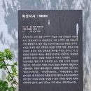 독성서사 이미지