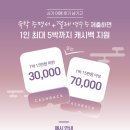 미인열차 | 후쿠오카 근교 소도시 사가 가성비 여행 ❤️ 캐시백 이벤트