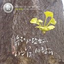 명동고로케 네이버블로그
