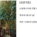 노블레스타워 부속의원 티스토리