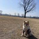 송이조각공원 화장실 이미지