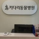 키다리동물병원 이미지
