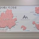 안중대한스튜디오 네이버블로그