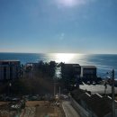 수피아라 A 이미지