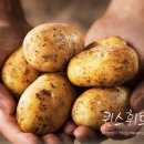 퀸스 휘트니스 이미지