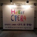 헬로코지 이미지