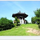 미숭산자연휴양림 이미지