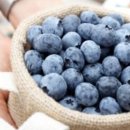 인숙농장 이미지