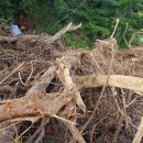 내곡동297 이미지