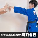 이든 태권도장 | 언더독스포츠 어린이 태권도격파송판 격파장 25개세트 실사용 후기