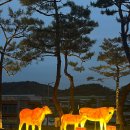 서울로또방 이미지