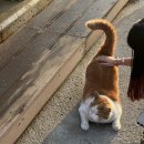 미소횟집 이미지