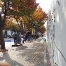 강남-139 이미지