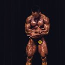 바디조아짐 이미지