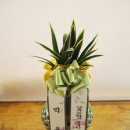 증평꽃집 이미지