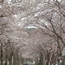 보경사(寶鏡寺) / 경북 포항시 이미지