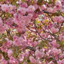 지금이순간 이미지