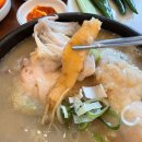 오이삼계탕 | 부천 맛집 삼계탕 점심시간 방문 후기 오이삼계탕