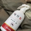 좀벌레살충제 원탑! 칙칙 3초 뿌리면 끝! 초간단 좀벌레퇴치