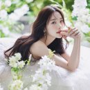 스튜디오비