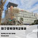 채다올김밥 | 대구경북대학교병원 검진 후기｜채다올김밥 포장·와촌휴게소 오징어어묵바 루트 추천