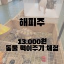 [수원] 해피주 아이랑 후기｜동물 먹이주기부터 교감까지, 햄스터 키우고 싶다는 아이와 다녀왔어요