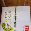 동탄 별하 검도관 이미지