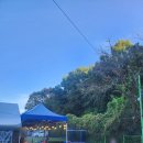 (주)아르테미스 | 일산 고양 아르테미스 캠핑장 셀프바베큐 내돈내산 후기