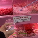 아이러브PC방 | 원주 아이러브 슬라임카페 방문후기