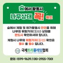 국제트리플레잉협회 이미지