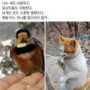 새덕후와 조류 애호가들에게 일침을 날린 환경운동가 최병성 이미지
