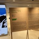 큰사람들 | 힐링 전시 찾는다면? 광화문 교보 아트센터 ‘움직이는 사람들’ 무료 전시 후기(~3.29)