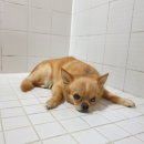 뭉 - 서구 | 뭉