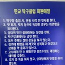판교탁구클럽
