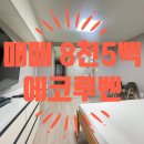 에코루벤 이미지
