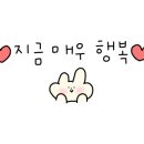 보가코인 노래연습장 이미지