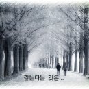 맑은 옷 이미지